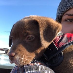 Meet your Posher, Sam